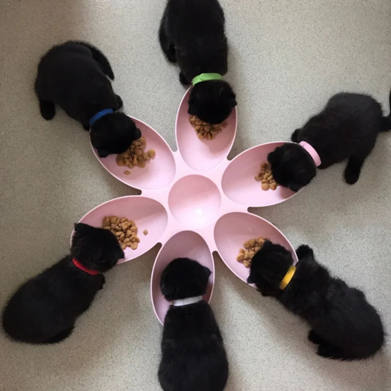 Pet Dog Petal Feeding Bowl Petal Shape 6 In 1 Feeding Container Cat Food And Water Storage Pet Accessories Supplies Dog Feeders